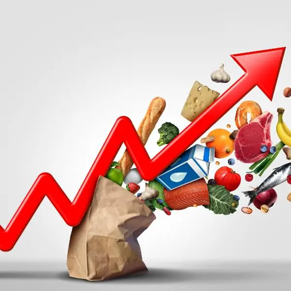 Bag of groceries with arrow pointing up