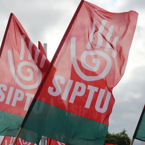 SIPTU flags